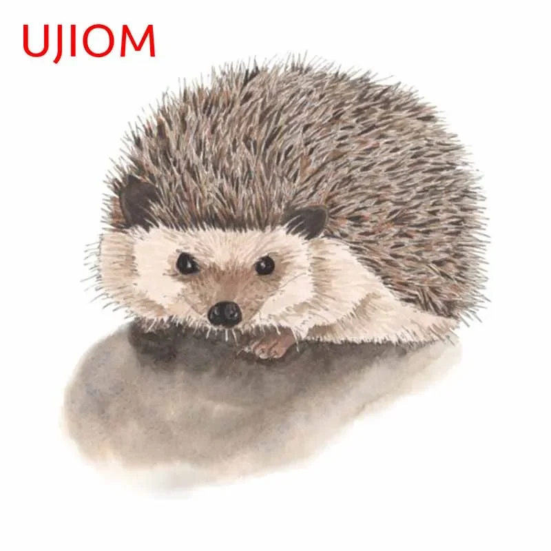 UJIOM 13cm Funny Hedgehog Cute - огляд і ціна Baby Nursery Vinyl Wall Stickers
